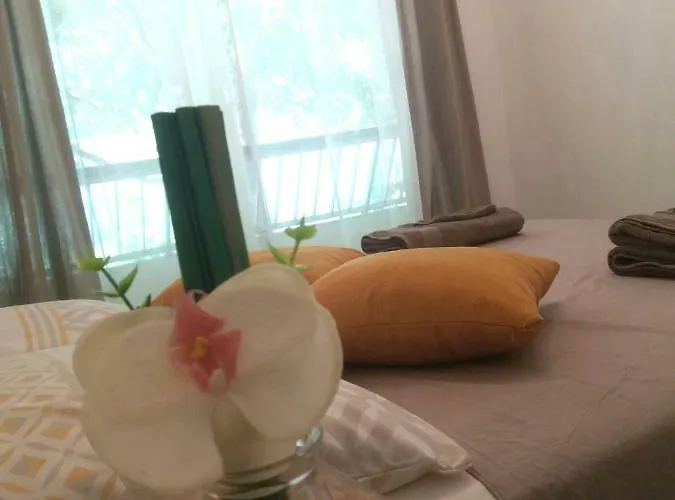 Residences Fleuries - Behind Croisette Bvd